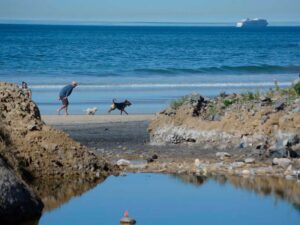 Reinstalarán Comité de Playas Limpias de Tijuana