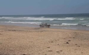 Advierten sobre alta contaminación en Playas de Tijuana