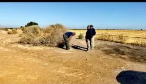 Paisaje desértico del Cerro El Centinela ideal para el turismo en Mexicali