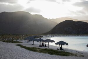 Jóvenes graduados del programa Reconecta con la Paz Baja California celebrando su logro