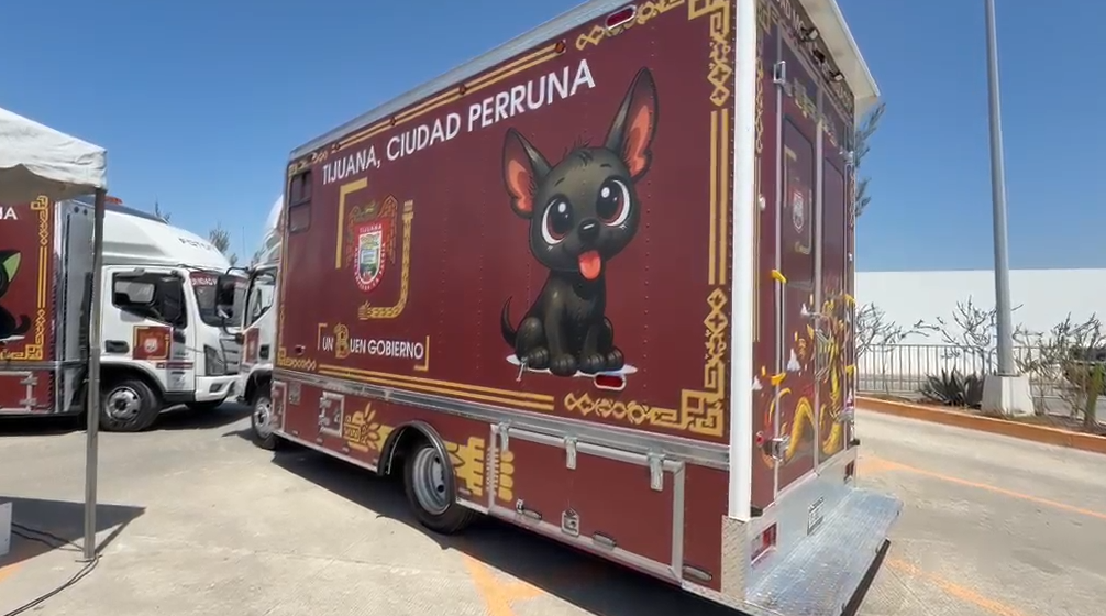 Personal veterinario atendiendo mascotas en las unidades móviles de esterilización gratuita en Tijuana