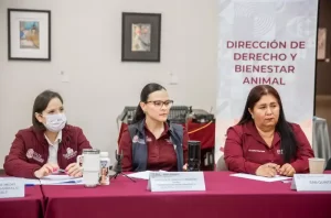 Representación del bienestar animal bajo la nueva ley de protección animal Baja California
