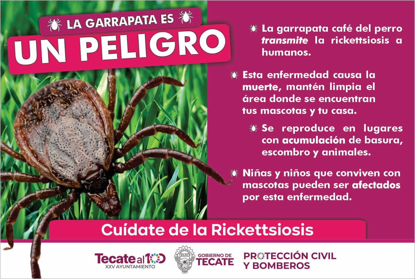 Personal de salud y autoridades municipales trabajando en la prevención de rickettsia en Tecate