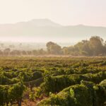 Autoridades reunidas en el Museo de la Vid y el Vino para discutir la seguridad Valle de Guadalupe