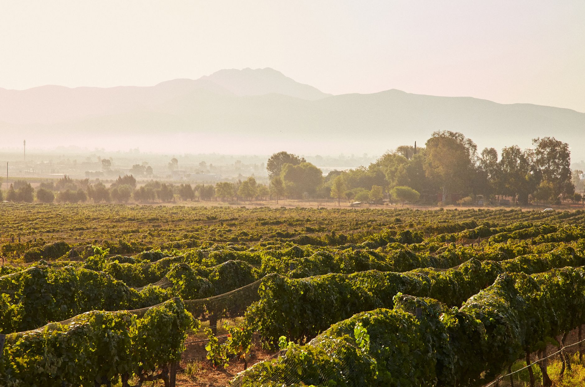 Autoridades reunidas en el Museo de la Vid y el Vino para discutir la seguridad Valle de Guadalupe