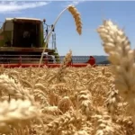 Manifestación de productores de trigo en Mexicali frente a oficinas de gobierno