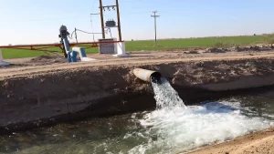 Entrega de apoyos a productores del Valle de Mexicali para insumos agrícolas